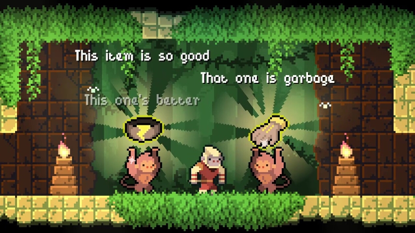 PC游戏《护林猿神 Dunjungle》中文+v1.0正式版-谷进海小站