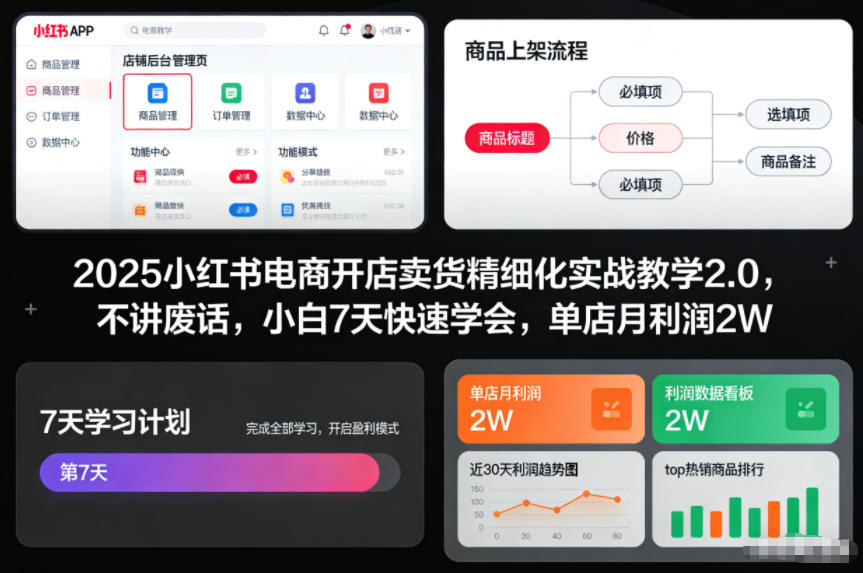 2025小红书电商开店卖货精细化实战教学2.0，不讲废话，小白7天快速学会，单店月利润2W-谷进海小站