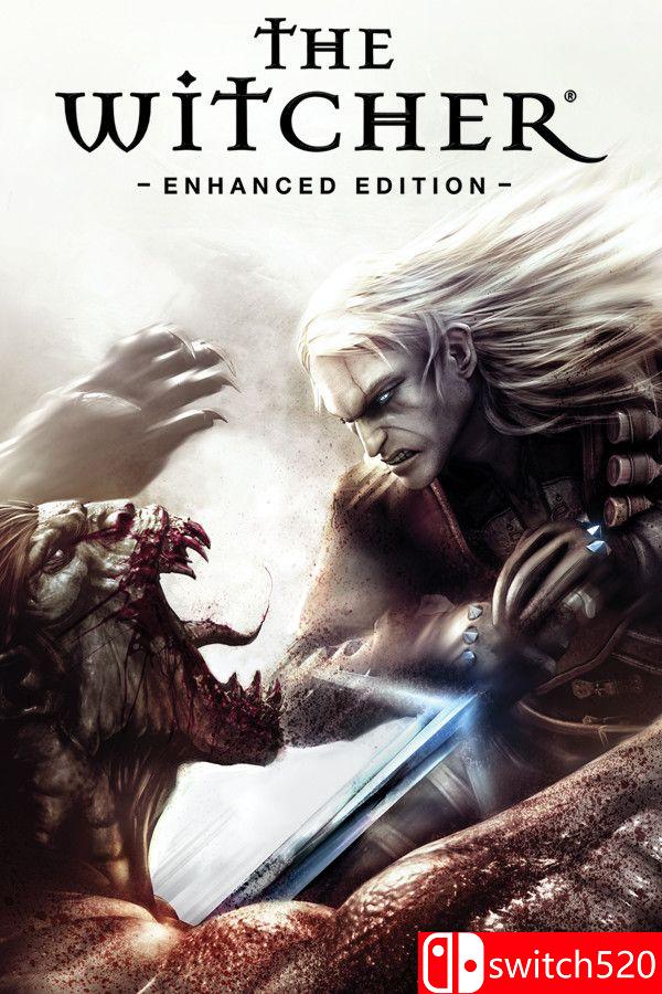 《巫师加强版（The Witcher: Enhanced Edition）》官方中文 v1.5 [繁体/英文]-谷进海小站