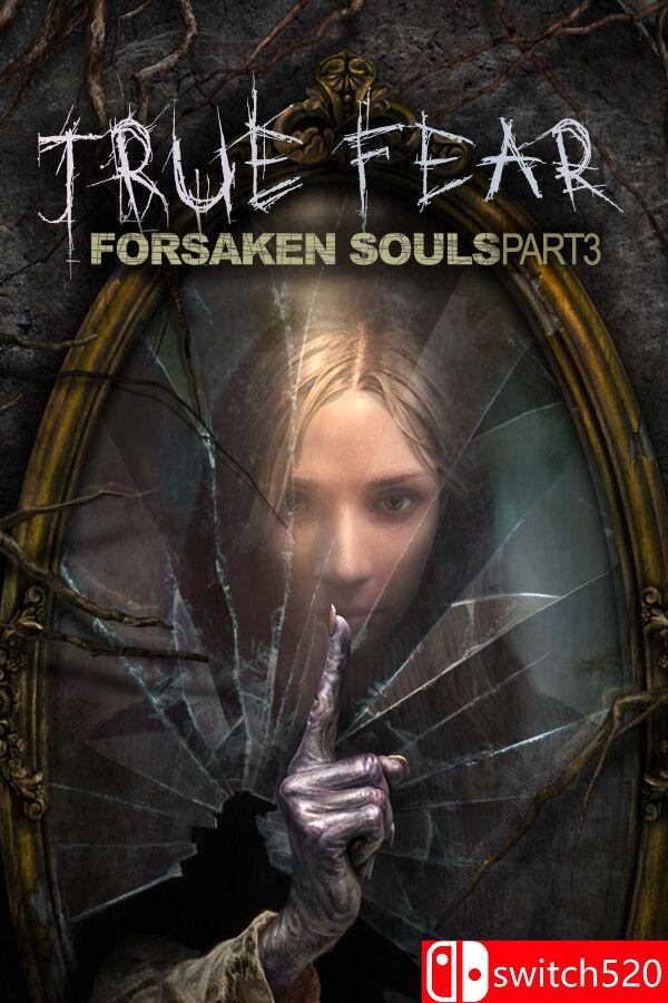《真实恐惧：被遗弃的灵魂3（True Fear: Forsaken Souls P3）》v1.0.14 [中文/英文]-谷进海小站