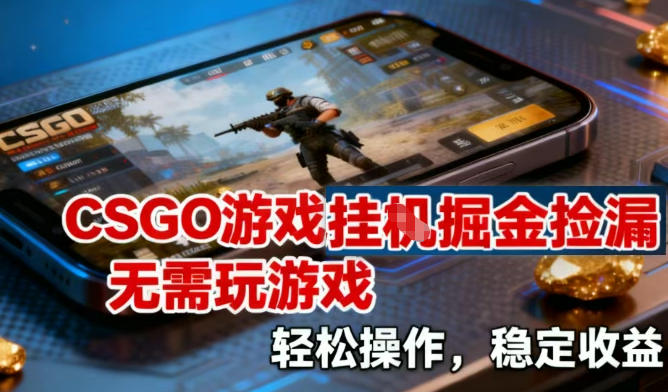 CSGO游戏挂G掘金捡漏，不需要玩游戏，操作简单，收益稳定【揭秘】-谷进海小站
