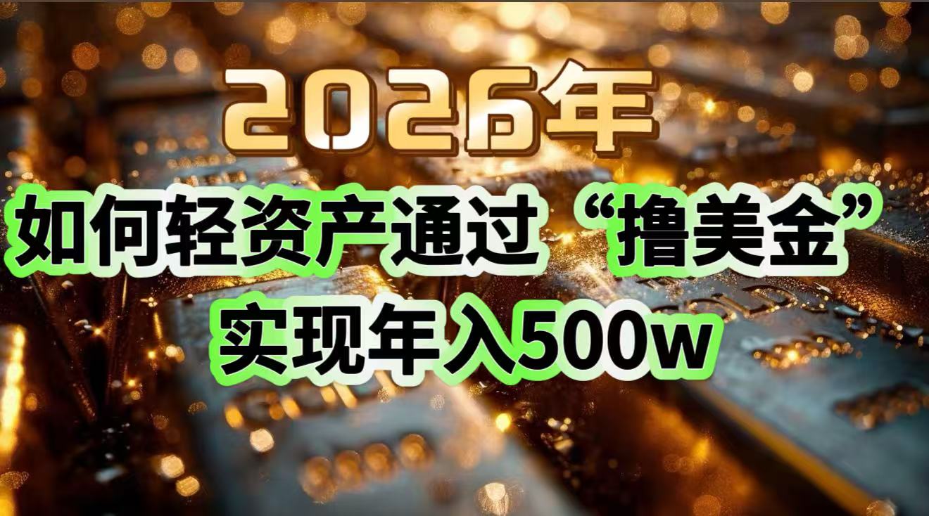 2026年如何轻资产通过“撸美金”实现年入500w-谷进海小站