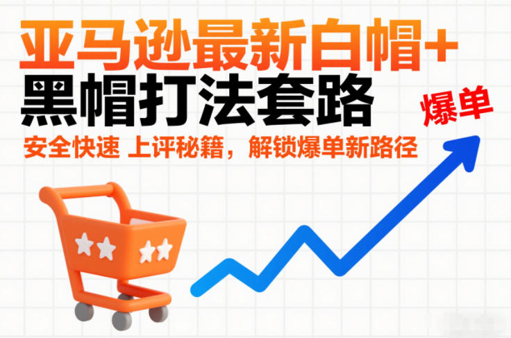 亚马逊最新白帽+黑帽打法套路，安全快速上评秘籍，解锁爆单新路径-谷进海小站