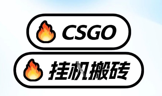 真全网独家CSGO挂G，最新玩法,单日捡漏1K+，不用电脑，不用打游戏【揭秘】-谷进海小站