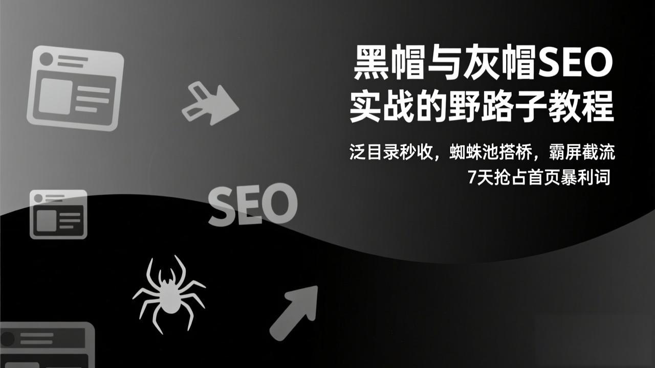 黑帽与灰帽SEO实战的野路子教程：泛目录秒收，蜘蛛池搭桥，霸屏截流，7天抢占首页暴利词-谷进海小站