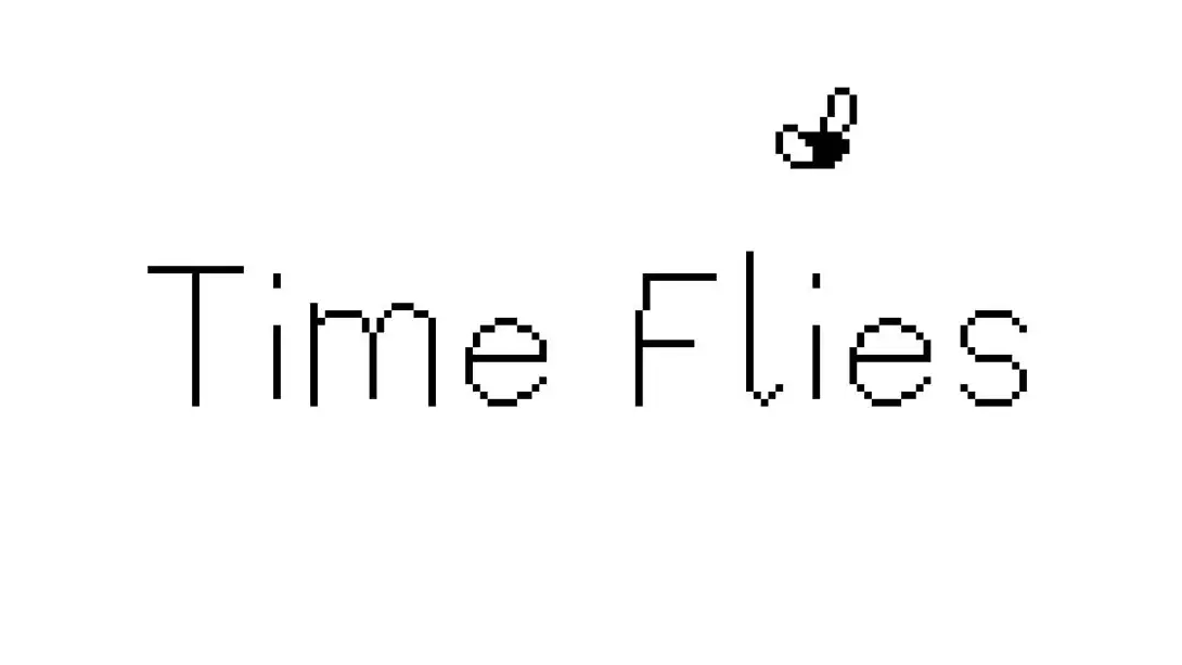【美版】逝者如斯蝇 .Time Flies 中文-谷进海小站