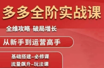 大炮·拼多多全阶实战课程(更新2026)-谷进海小站