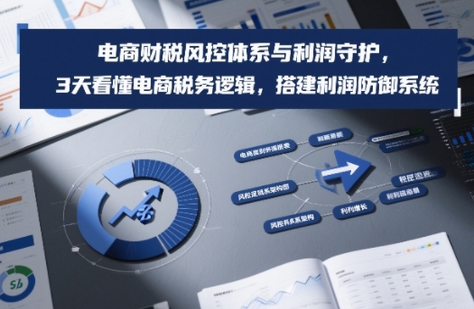 电商财税风控体系与利润守护，3天看懂电商税务逻辑，搭建利润防御系统-谷进海小站