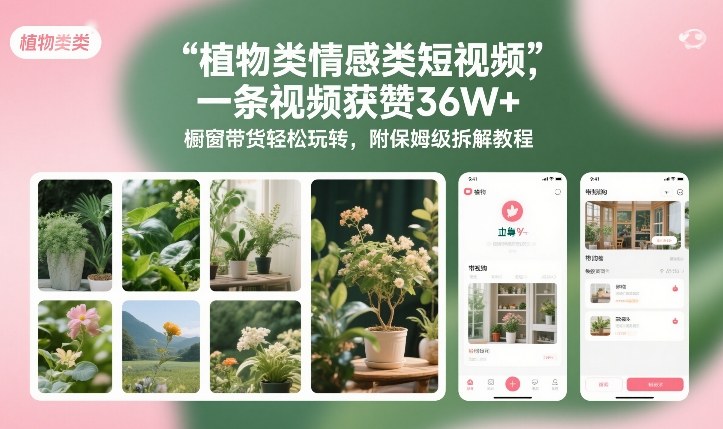 植物类情感类短视频，一条视频获赞36W+，橱窗带货轻松玩转，附保姆级拆解教程-谷进海小站