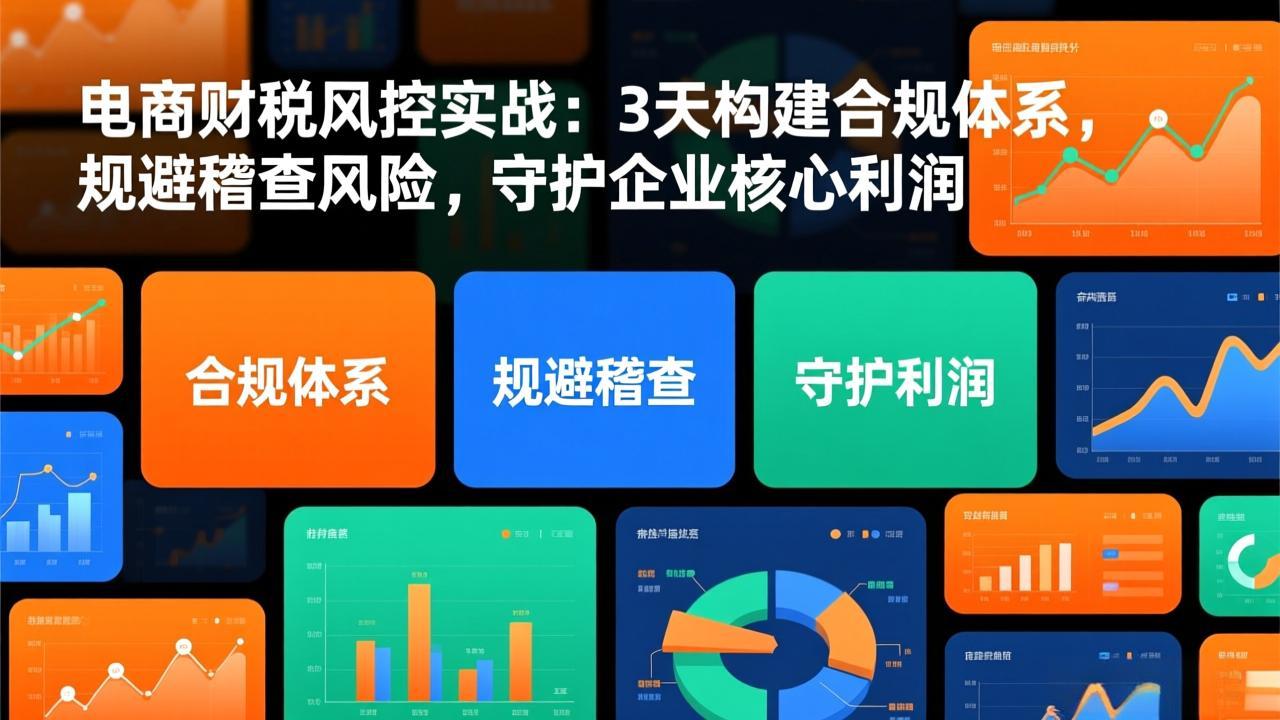 电商财税风控实战：3天构建合规体系，规避稽查风险，守护企业核心利润-谷进海小站