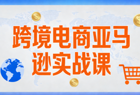 丝丝老师·跨境电商亚马逊实战课(更新2月)-谷进海小站