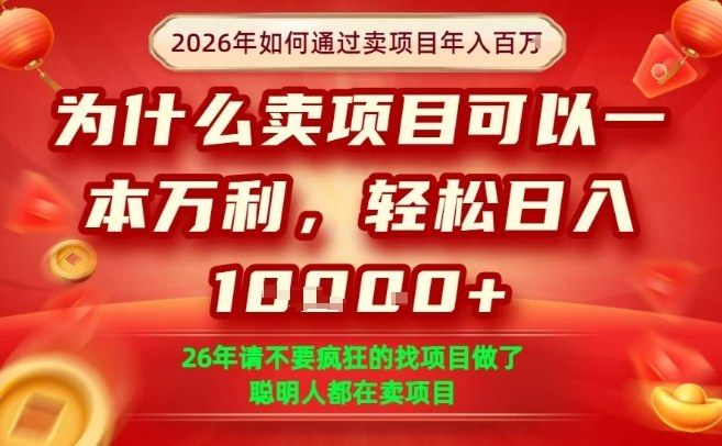 一单净利润1K+，26年想年入100个W，死磕卖项目就够了【揭秘】-谷进海小站