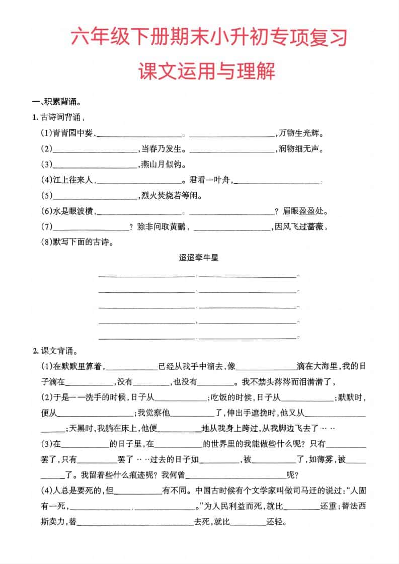 六年级下语文小升初课文运用与理解专项练习-谷进海小站