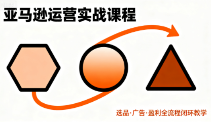 毕方电商·亚马逊全站会员课程(更新3月)-谷进海小站