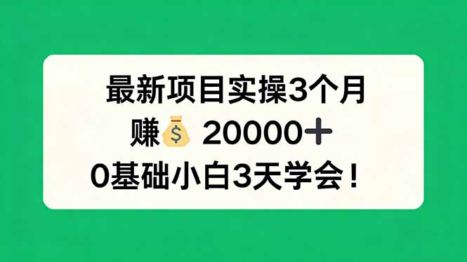 最新项目实操3个月，赚钱20000+，0基础小白3天学会！-谷进海小站