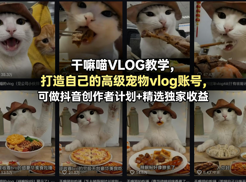 干嘛喵VLOG教学，打造自己的高级宠物vlog账号，可做抖音创作者计划+精选独家收益-谷进海小站