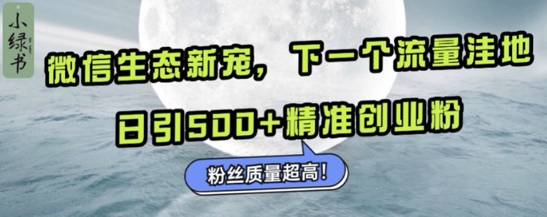 微信生态新宠小绿书：下一个流量洼地，日引500+精准创业粉，粉丝质量超高-谷进海小站