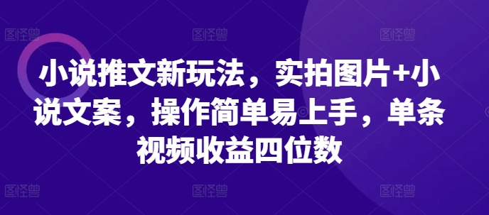 小说推文新玩法，实拍图片+小说文案，操作简单易上手，单条视频收益四位数-谷进海小站