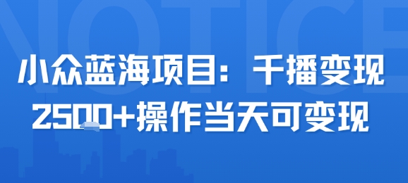小众蓝海项目，千播变现2.5k+操作当天可变现-谷进海小站