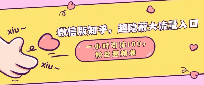 微信版知乎，超隐蔽流量入口1小时引流100人，粉丝质量超高【揭秘】-谷进海小站