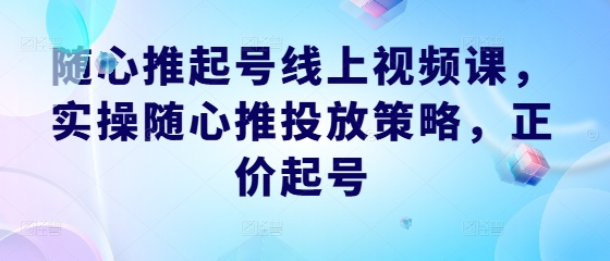 随心推起号线上视频课，实操随心推投放策略，正价起号-谷进海小站
