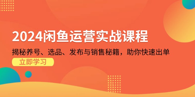 2024闲鱼运营实战课程：揭秘养号、选品、发布与销售秘籍，助你快速出单-谷进海小站