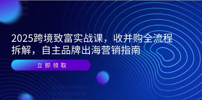 2025跨境致富实战课，收并购全流程拆解，自主品牌出海营销指南-谷进海小站