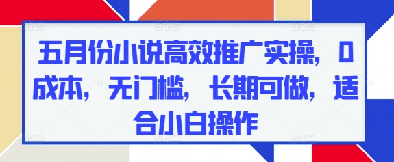 五月份小说高效推广实操，0成本，无门槛，长期可做，适合小白操作-谷进海小站