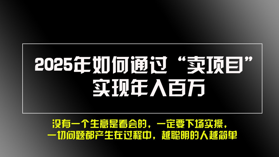 2025年如何通过“卖项目”实现年入百万-谷进海小站