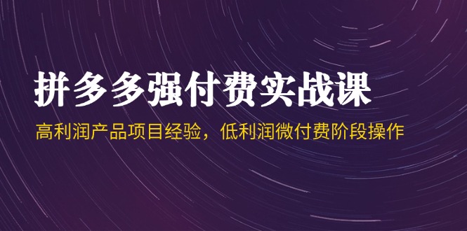 拼多多强付费实战课-44期，高利润产品项目经验，低利润微付费阶段操作-谷进海小站