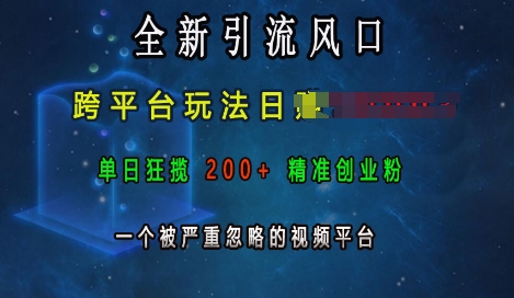 全新引流风口，跨平台玩法日入上k，单日狂揽200+精准创业粉，一个被严重忽略的视频平台-谷进海小站