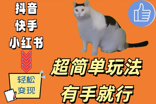 超简单玩法，有手就行，靠猫咪视频日入500+【揭秘】-谷进海小站
