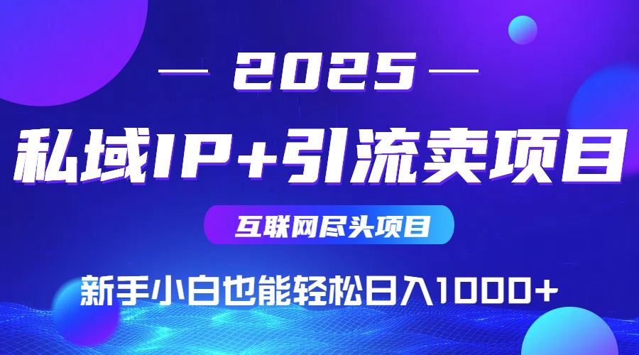 2025网创尽头项目，私域IP+引流，新手小白也能在家日入1000+-谷进海小站