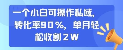 一个小白可操作私域，转化率90%，单月轻松收割2W-谷进海小站