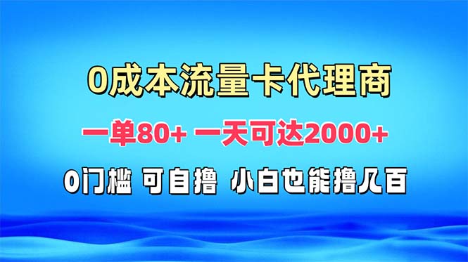 免费流量卡代理一单80+ 一天可达2000+-谷进海小站