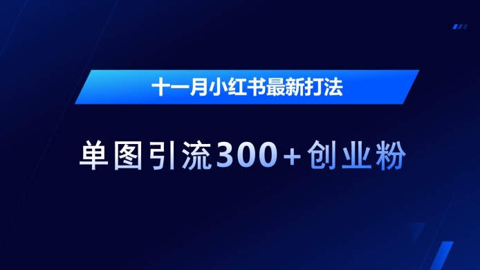 十一月小红书最新打法，单图引流300+创业粉【揭秘】-谷进海小站