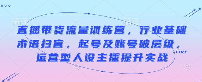 直播带货流量训练营，行业基础术语扫盲，起号及账号破层级，运营型人设主播提升实战-谷进海小站