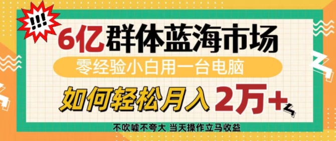 6亿群体蓝海市场，零经验小白用一台电脑，如何轻松月入过w【揭秘】-谷进海小站