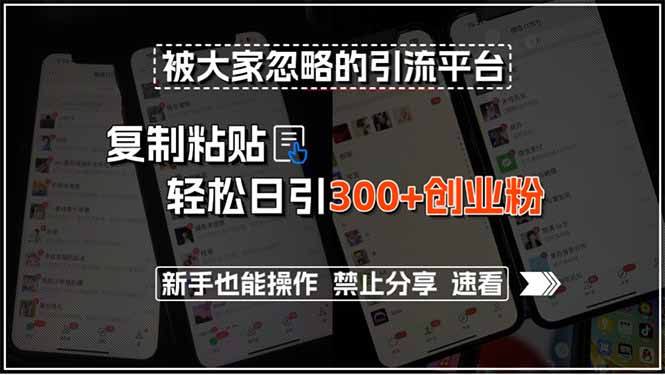 被大家忽略的引流平台，复制粘贴轻松日引300+创业粉，新手也能操作，禁…-谷进海小站
