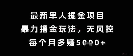 最新单人掘金项目，暴力撸金玩法，无风控，每个月多挣5k+【揭秘】-谷进海小站