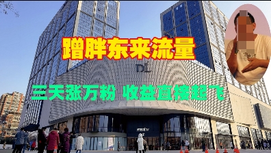 蹭胖东来流量，三天涨万粉，收益直接起飞-谷进海小站