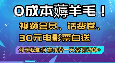 0成本薅羊毛!视频会员、话费卷、30元电影票白送，分享我如何靠转卖一天变现5张+【揭秘】-谷进海小站