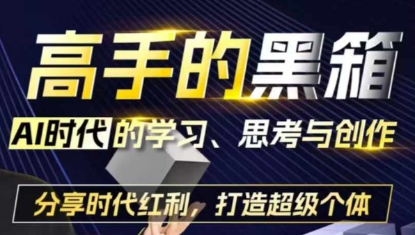 高手的黑箱：AI时代学习、思考与创作-分红时代红利，打造超级个体-谷进海小站