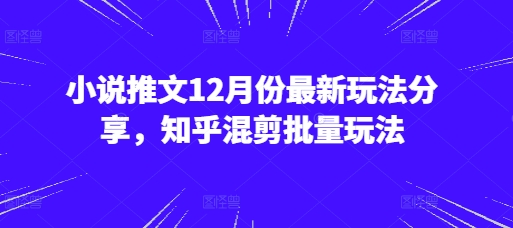 小说推文12月份最新玩法分享，知乎混剪批量玩法-谷进海小站