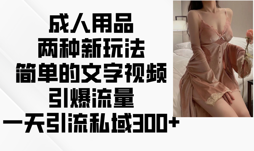 成人用品两种新玩法，简单的文字视频引爆流量，一天引流私域300+-谷进海小站