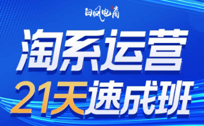 白凤电商·淘系运营21天速成班(更新5月)-谷进海小站