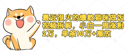 最近很火的爆款猫咪做饭视频拆解，小白一周涨粉2万，单条10万+播放(附保姆级教程)-谷进海小站