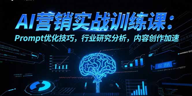 AI营销实战训练课：Prompt优化技巧，行业研究分析，内容创作加速-谷进海小站