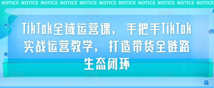TikTok全域运营课，手把手TikTok实战运营教学，打造带货全链路生态闭环-谷进海小站