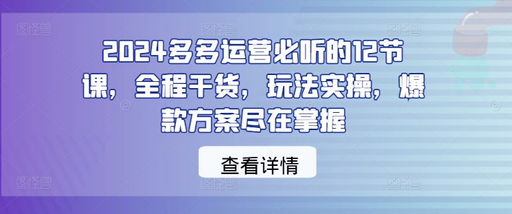 2024多多运营必听的12节课，全程干货，玩法实操，爆款方案尽在掌握-谷进海小站